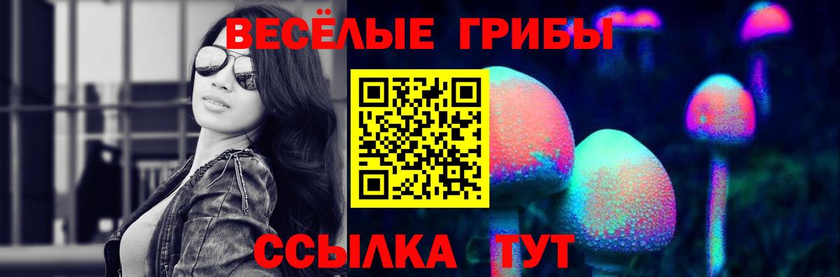 Карпинск  Псилоцибиновые грибы мицелий  Вход с VPN 